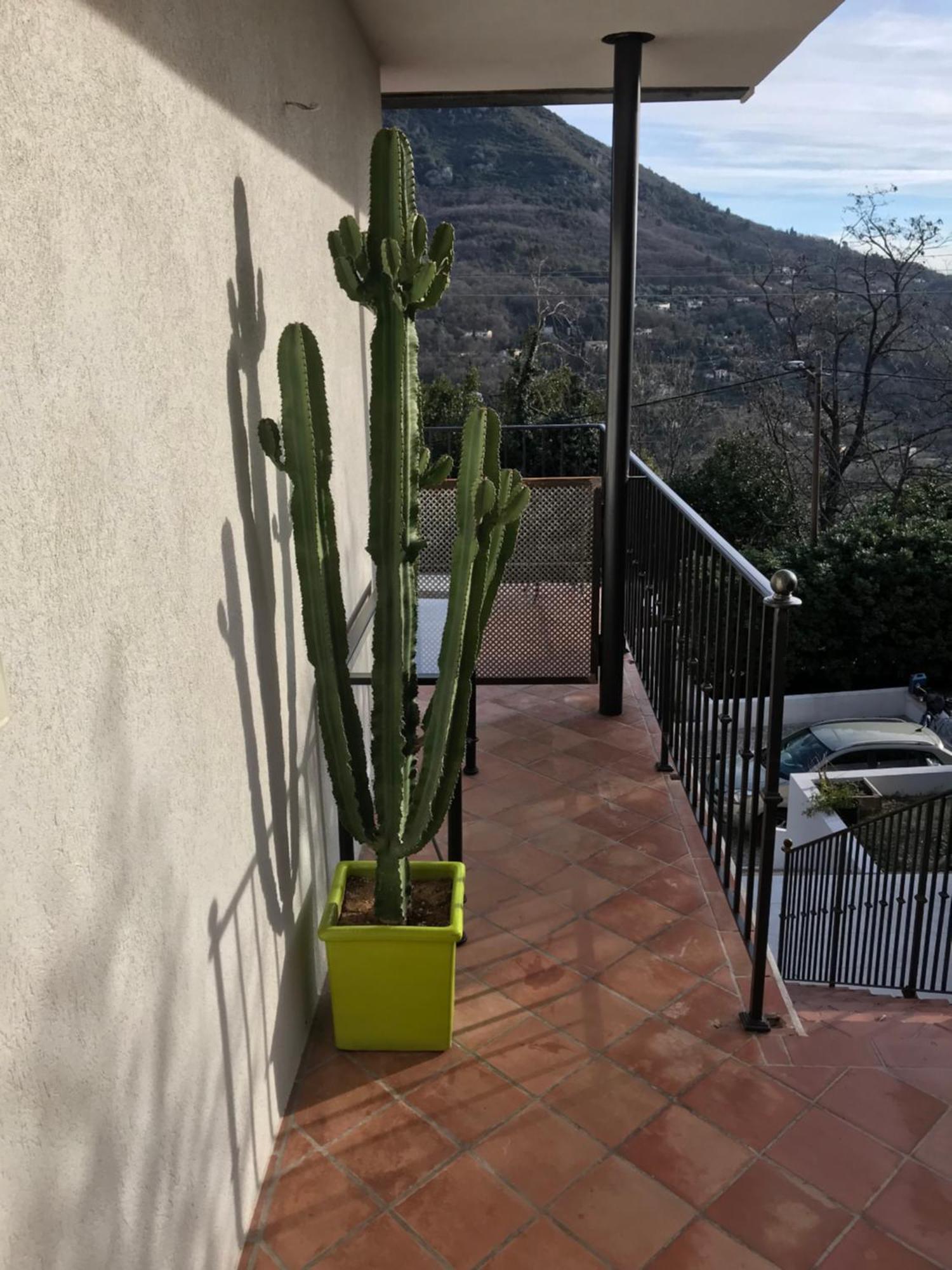 Haut De Villa Avec Vue - Le Bar Sur Loup 06 Esterno foto